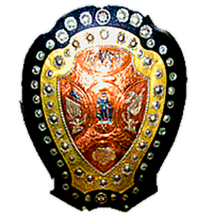 IND IFA Shield League